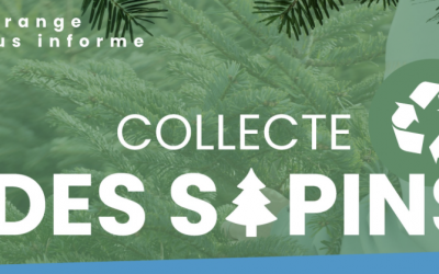 Collecte des sapins de Noël